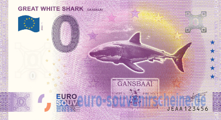 JEAA-2022-1 GREAT WHITE SHARK GANSBAAI
